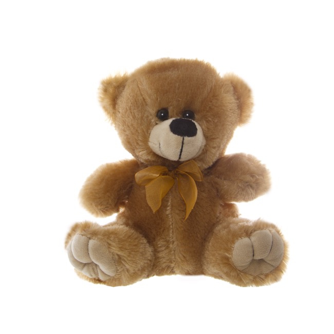 Small Teddy (15cm) Flowers with Style Gold Coast