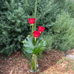 3 Red Roses in a vase